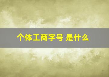 个体工商字号 是什么